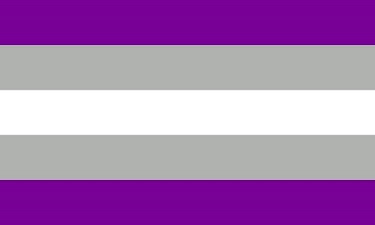 The graysexual flag